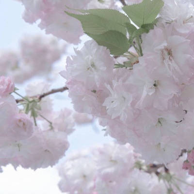 兽设色彩渐变技巧兽圈社群